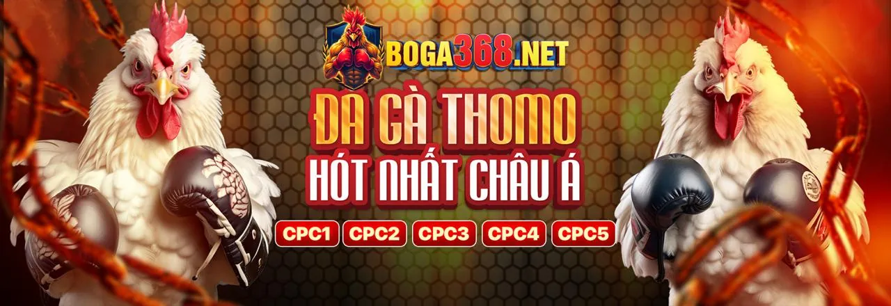 Các đặc quyền độc quyền dành cho thành viên VIP daga68 hiện đang mở